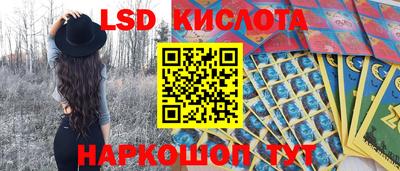 прущие крисы Кингисепп