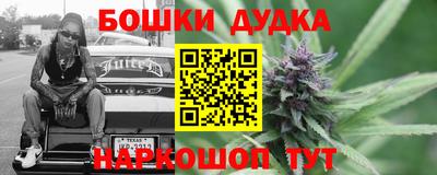 прущие крисы Кингисепп