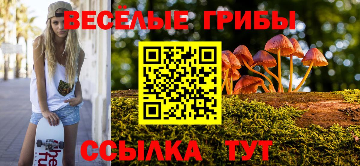 Бирск  Галлюциногенные грибы прущие грибы  Галлюциногенные грибы MAGIC MUSHROOMS  Вход с VPN 