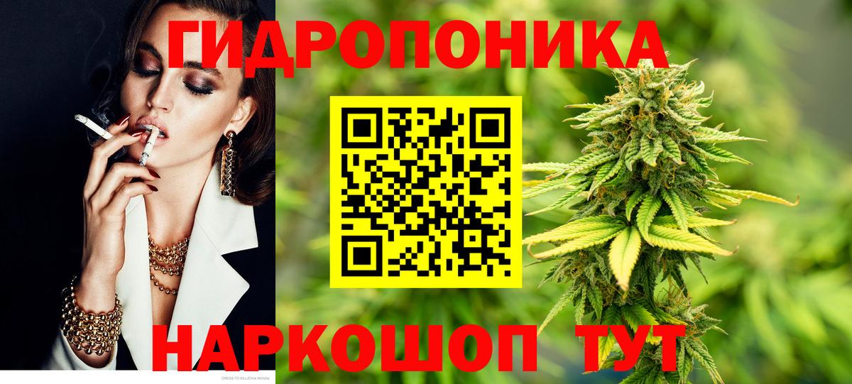 Конопля сатива Бирск